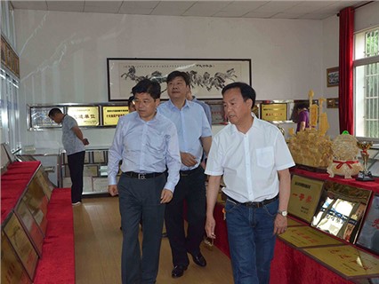 湘潭市委常委、市委政法委書記戴德清一行蒞臨【湘潭恒欣】